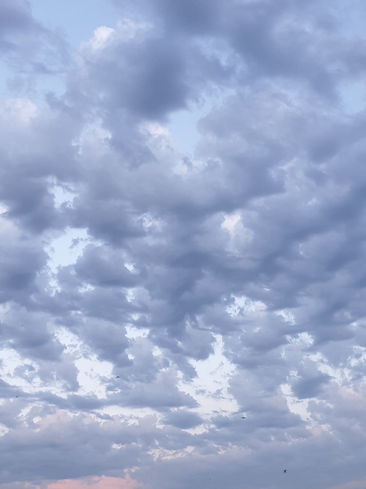 高层云(Altostratus),均匀的灰色云层,太阳隐约可见但无日晕