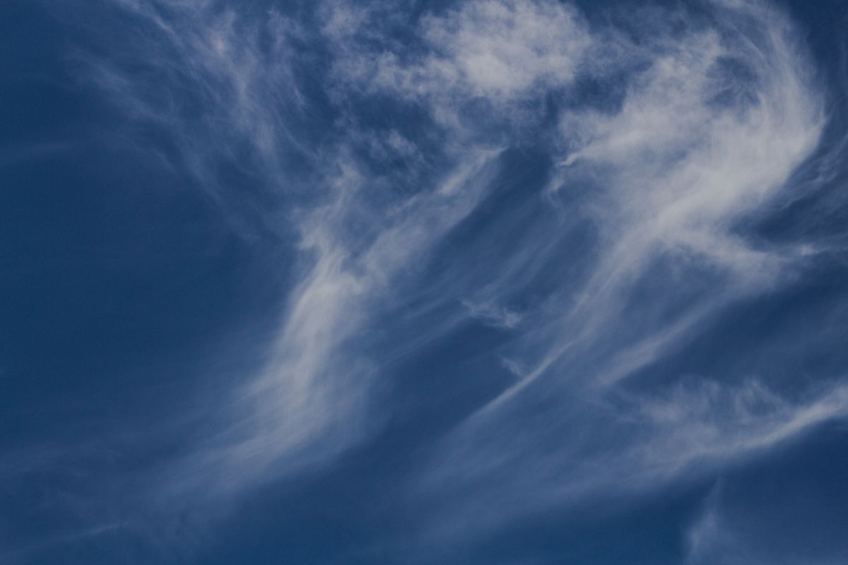 晴空中的纤维状卷云(Cirrus fibratus),注意尾部的钩状弯曲