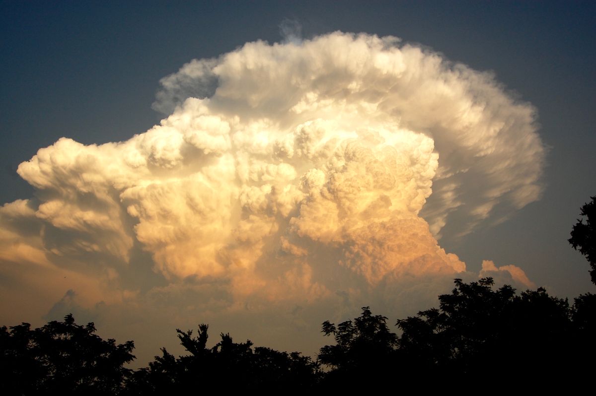 积雨云(Cumulonimbus capillatus incus),注意顶部典型的砧状结构和底部暗沉的降雨区