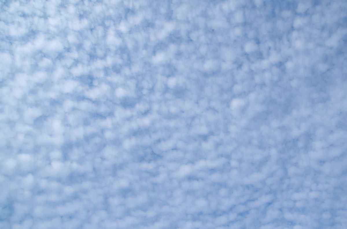 卷积云层(Cirrocumulus stratiformis),典型的鱼鳞状排列