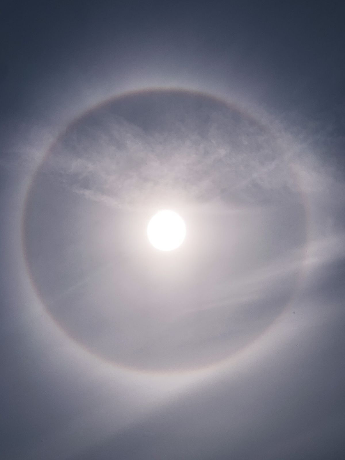 卷层云(Cirrostratus fibratus)造成的日晕,光线被冰晶折射出 22° 圆环
