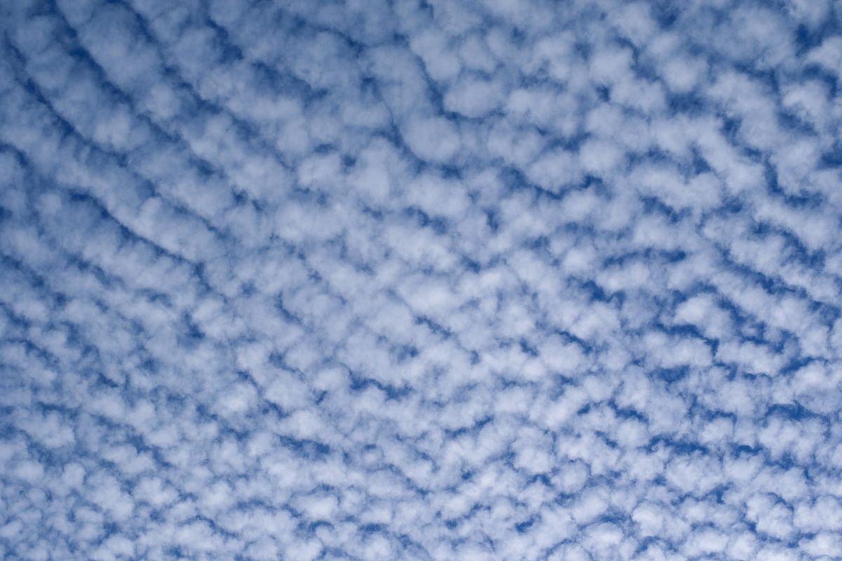 高积云(Altocumulus stratiformis),排列成片的云块,每个云体有明显的体积感
