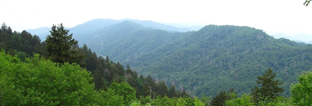 大烟山局部：层叠山脊